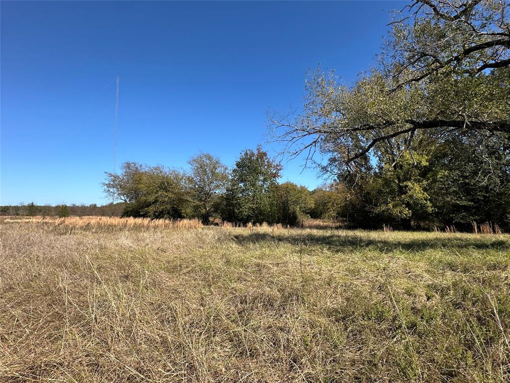 ZACHARIAH MOORE, TRACT 35.01; 2.0 ACRES - Land