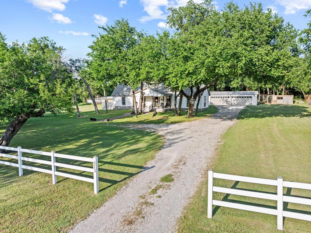 313 Chicken Street
