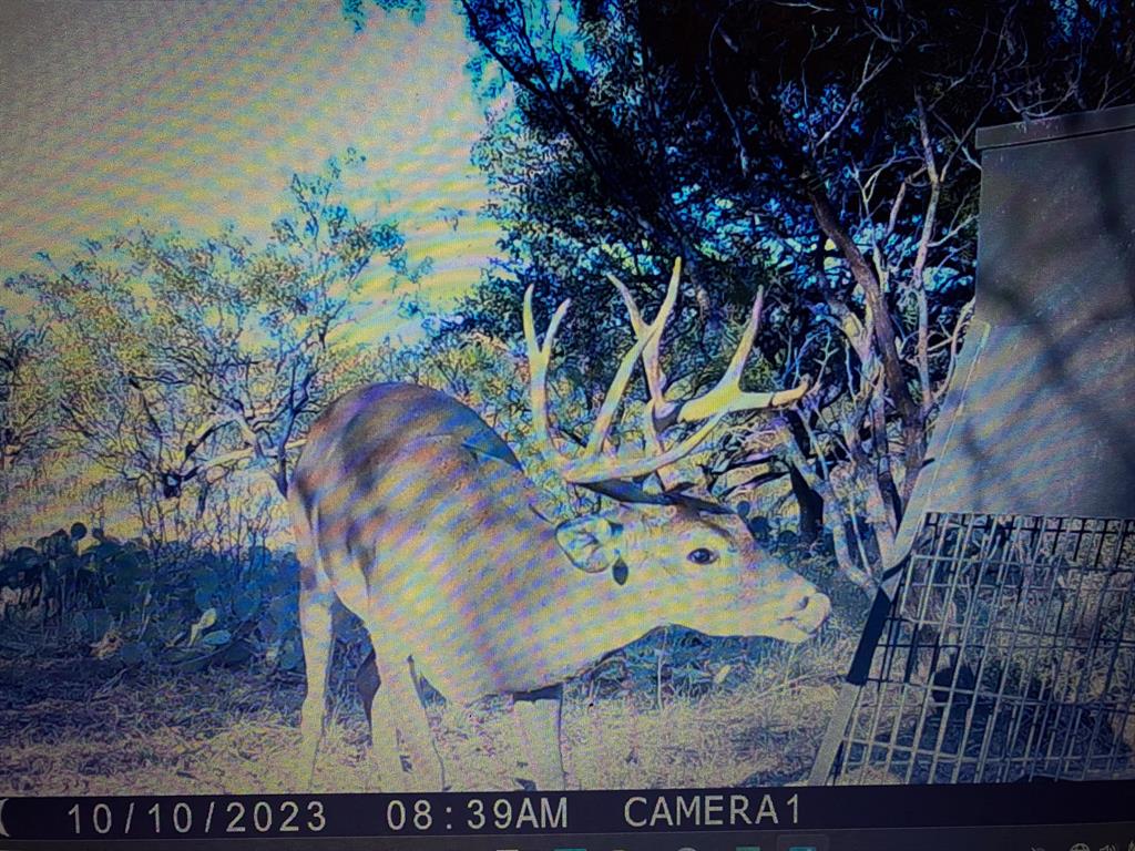 tbd TBD Cntty Rd 291