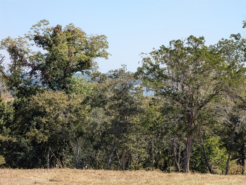 The Enclave at Lake Belton - Land