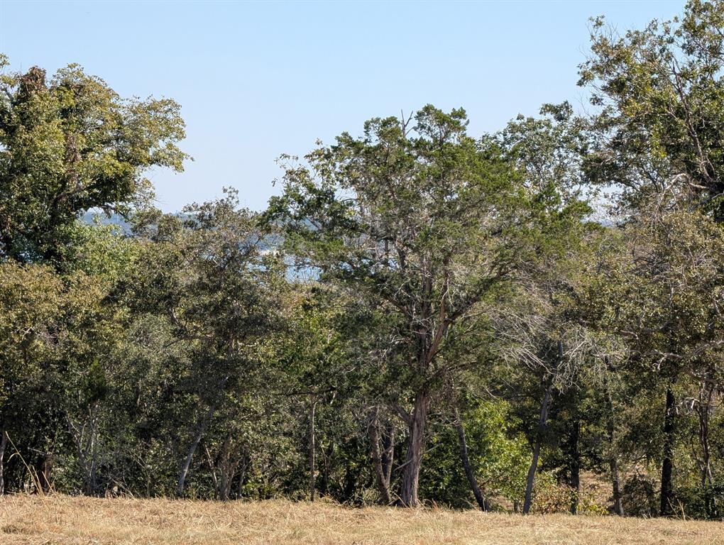 The Enclave at Lake Belton - Land