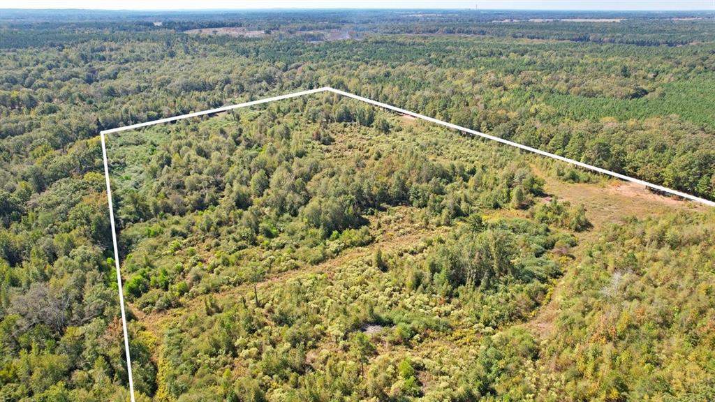 TBD CR 3201 Whitmore Rd