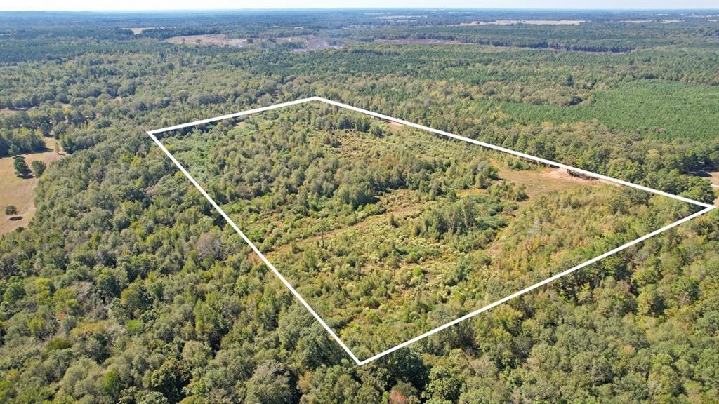 TBD CR 3201 Whitmore Rd