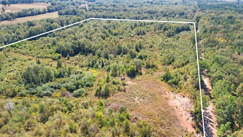 TBD CR 3201 Whitmore Rd