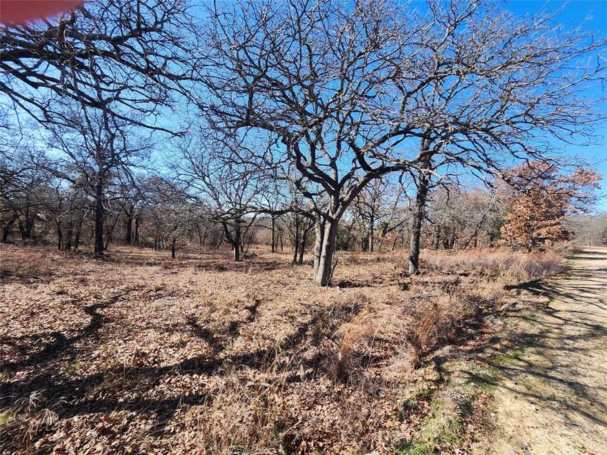 Great building site with mature shade trees, .62 of an acre. Lots are surrounded by the tranquility of nature as you will often see deer all around the property. Nocona Hills offers a 24-hour guarded gated community with access to two private lakes (one listed as top 5 Bass fishing in Texas)a community boat ramp and dock, as well as an 18-hole golf course with driving range, an airstrip, campgrounds with RV sites, and more. Utilities include co-op water and electric already at street. Fiber optic high speed internet is also available. Nearby surroundings include historic downtown Nocona, a winery, brewery and just a short drive to Saint Jo, Muenster and popular Casinos. Come see this gem. Owner has multiple lots available to choose from, please contact listing agent for details.  The Club house is under remodel along with the pool such an exciting new Update for the community.