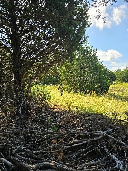 A0382 - GRIFFIN JESSE - Land