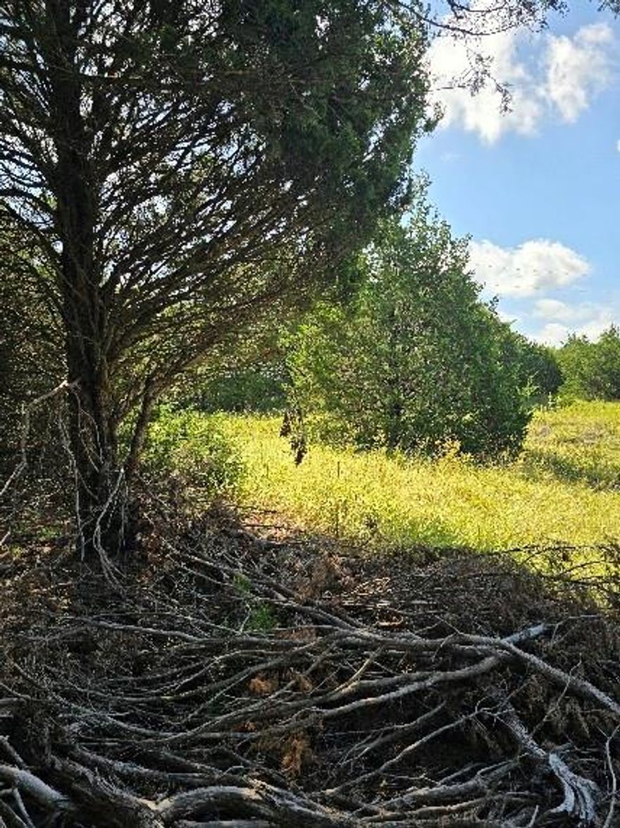 Property located just outside city limits. good location for a new Build or Barndominium. Lots of trees and all utilities are on site ready for use.