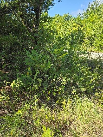 3694 County Road 1103