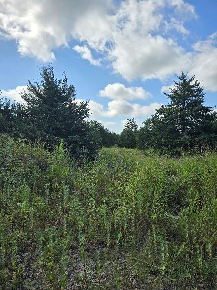 3694 County Road 1103