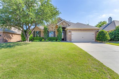 11009 Silver Horn Drive Fort Worth TX 76108