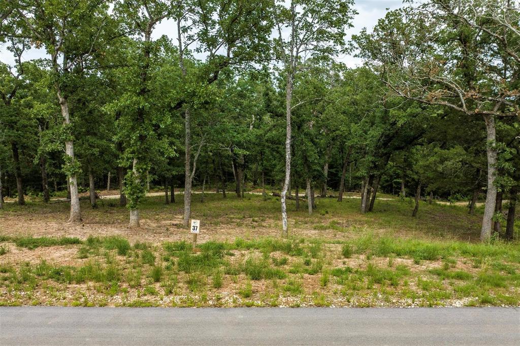 Cedar Creek Ranch - Land