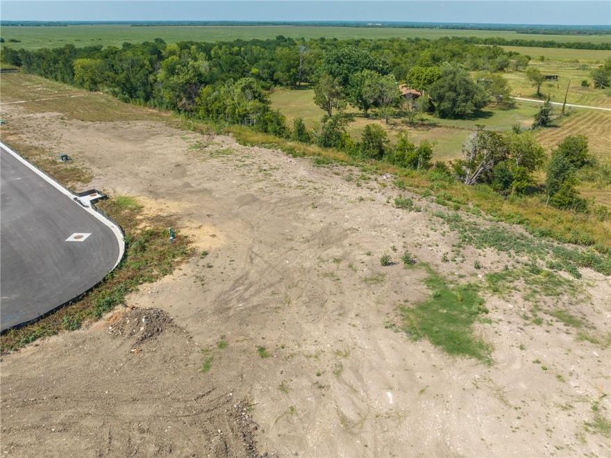 Welcome to the newly developed subdivision of Saddle Creek in Bosqueville! Sitting at the end of a cul-de-sac and backed up to a nice country setting is this residential lot of .40 acres where you can have a custom home designed and built just for you. Wallace Homes Tx is eager to help you create the home you've been looking for; they have an in-house interior design team that is sure to impress, and their overall craftsmanship is unlike any other. This beautiful lot is far enough out to avoid the busyness of the city but still in a very convenient location with easy access to schools, restaurants, and more. Saddle Creek subdivision is ready to welcome you and your family home and Wallace Homes Tx is here to make that happen!