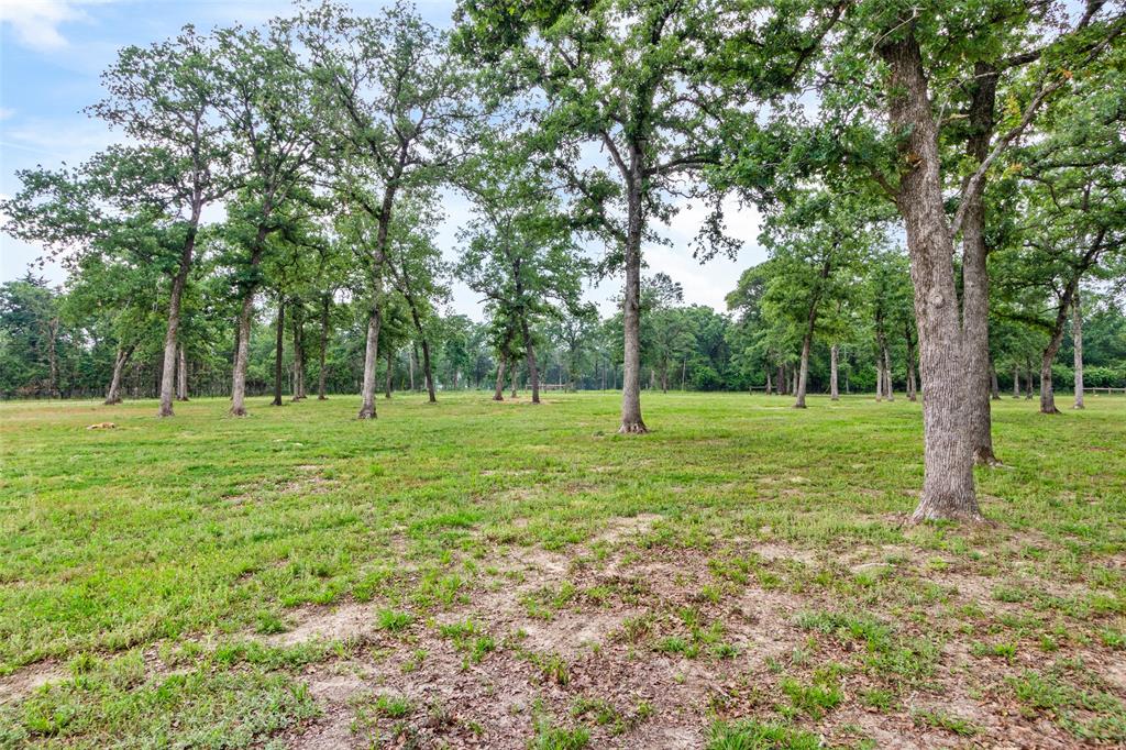 W D Morey Surv - Residential