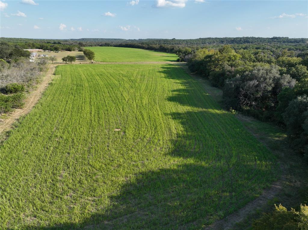 Hamilton Study - Farm