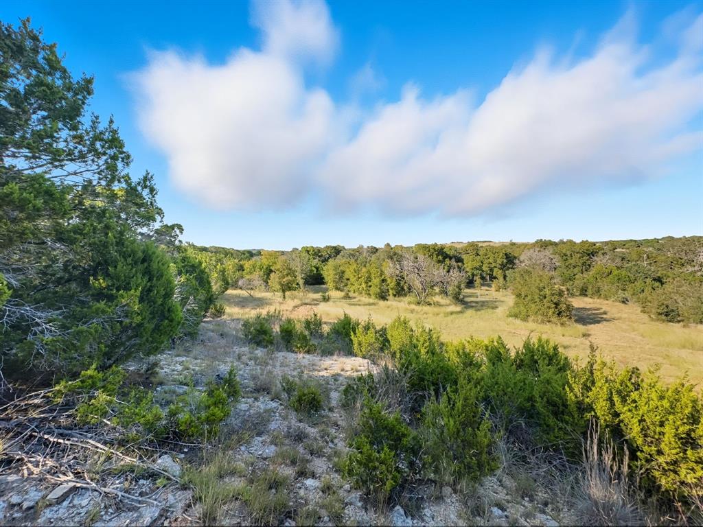 Hamilton Study - Farm