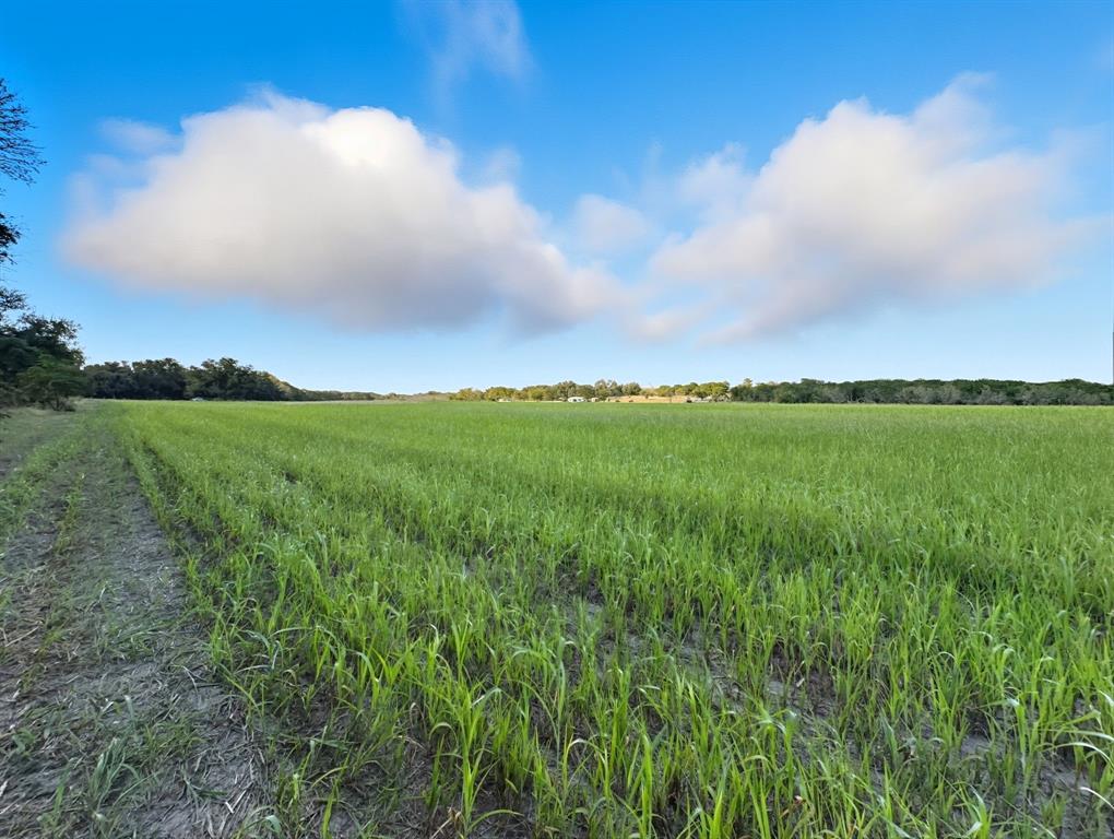 Hamilton Study - Farm
