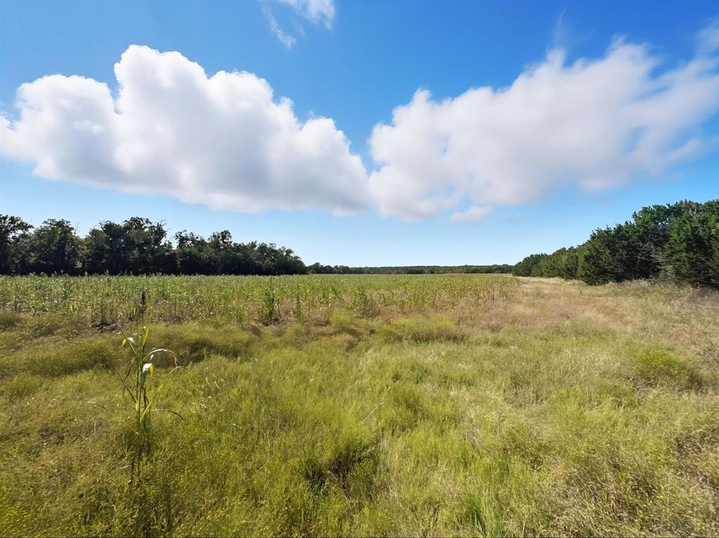 Hamilton Study - Farm