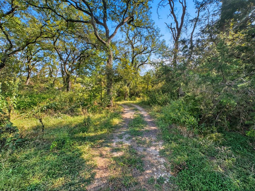 Hamilton Study - Farm