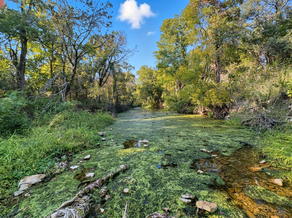 Hamilton Study - Farm