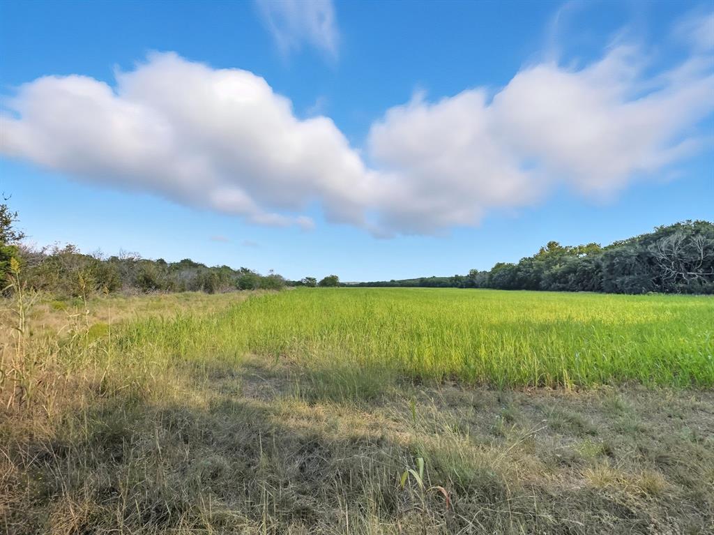 Hamilton Study - Farm