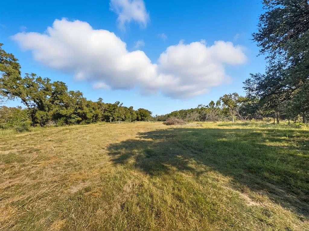 Hamilton Study - Farm