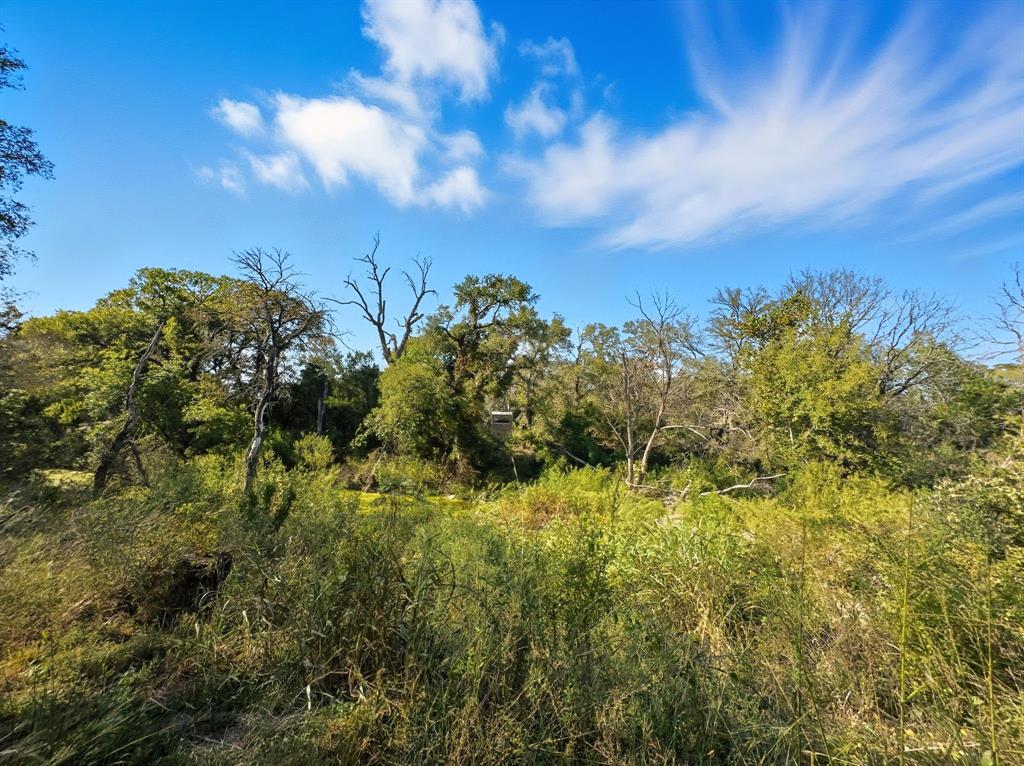 Hamilton Study - Farm