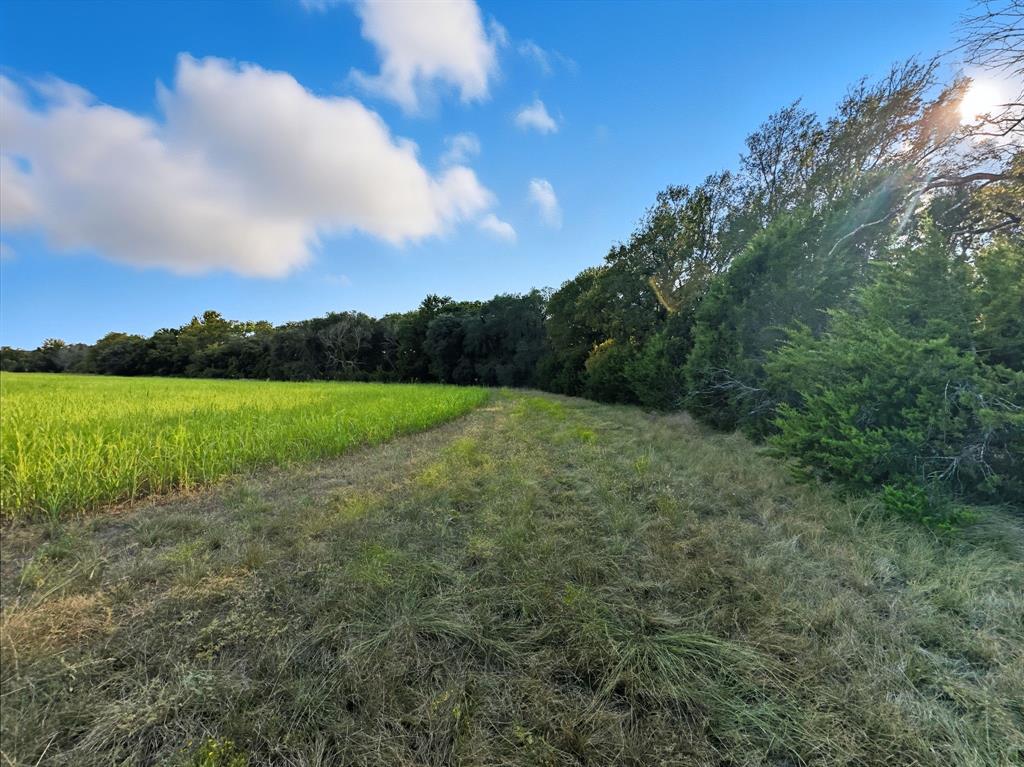 Hamilton Study - Farm