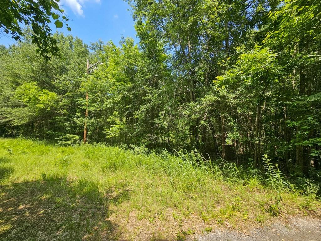 Samuel G. Wells - Commercial Sale