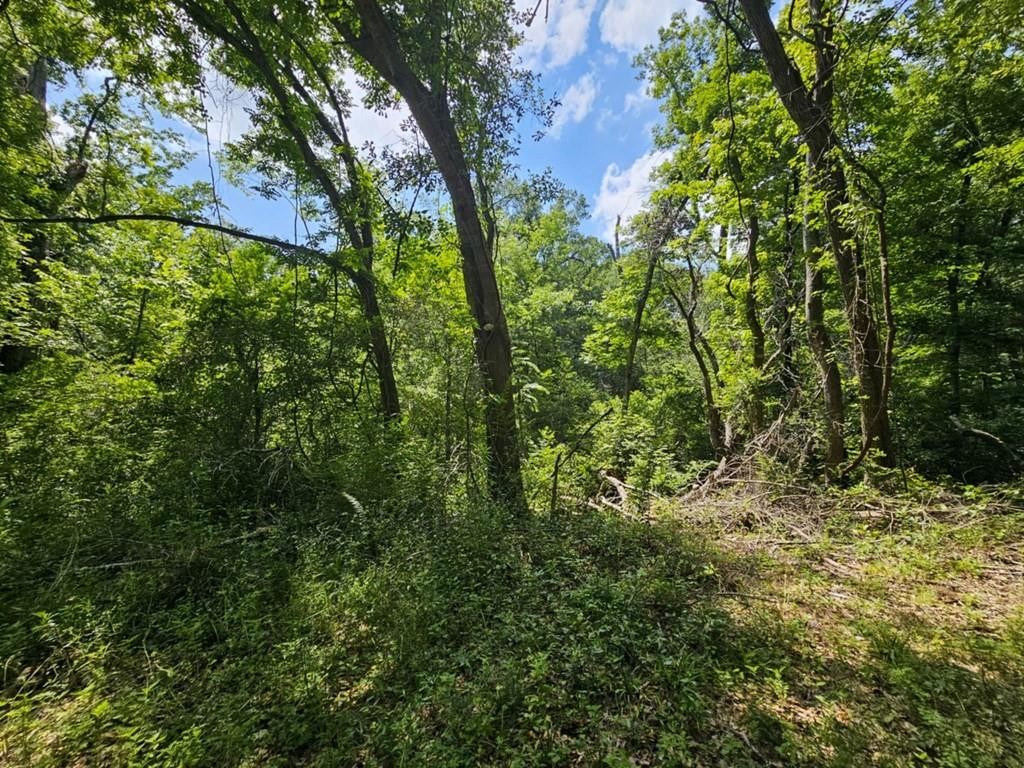 Samuel G. Wells - Commercial Sale