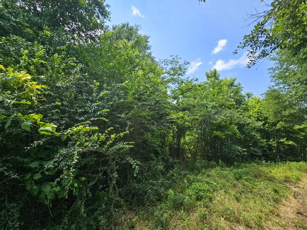 Samuel G. Wells - Commercial Sale