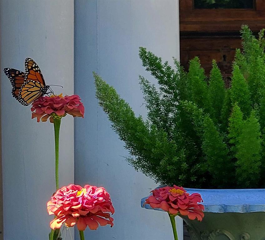 Lindsay Add - Residential