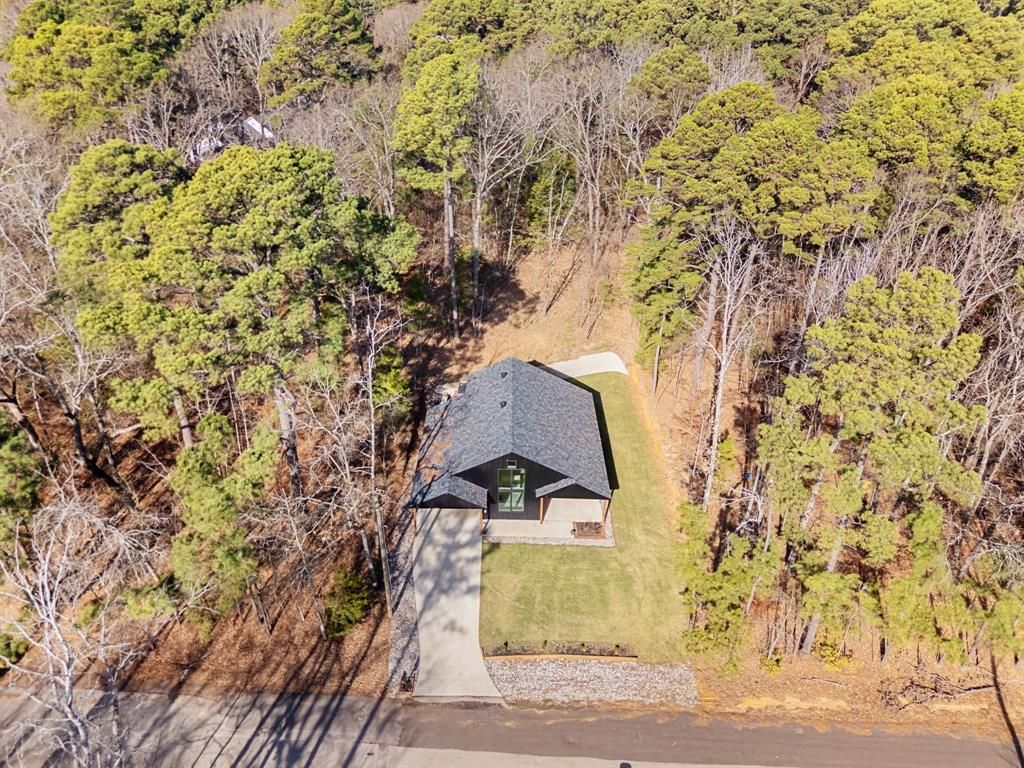 Photo of 18654 Quiet Anchor Lane, Flint, TX 75762 (MLS # 21161821)