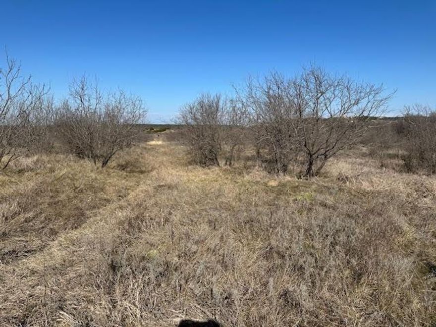 No timeframe or builder attachment on this five acre lot in The Hills Above Possum Kingdom. Livestock is permitted within guidelines, and lots of room for an oversize outbuilding. Private setting on a culdesac. Lot ownership permits the use of all of the neighborhood amenities including; clubhouse with fitness center and pool, boat storage, lake side cabin with kitchen and picnic tables, boat ramp, community dock, lakeside area, fishing pond, and twenty miles of provate roads behind the gates.