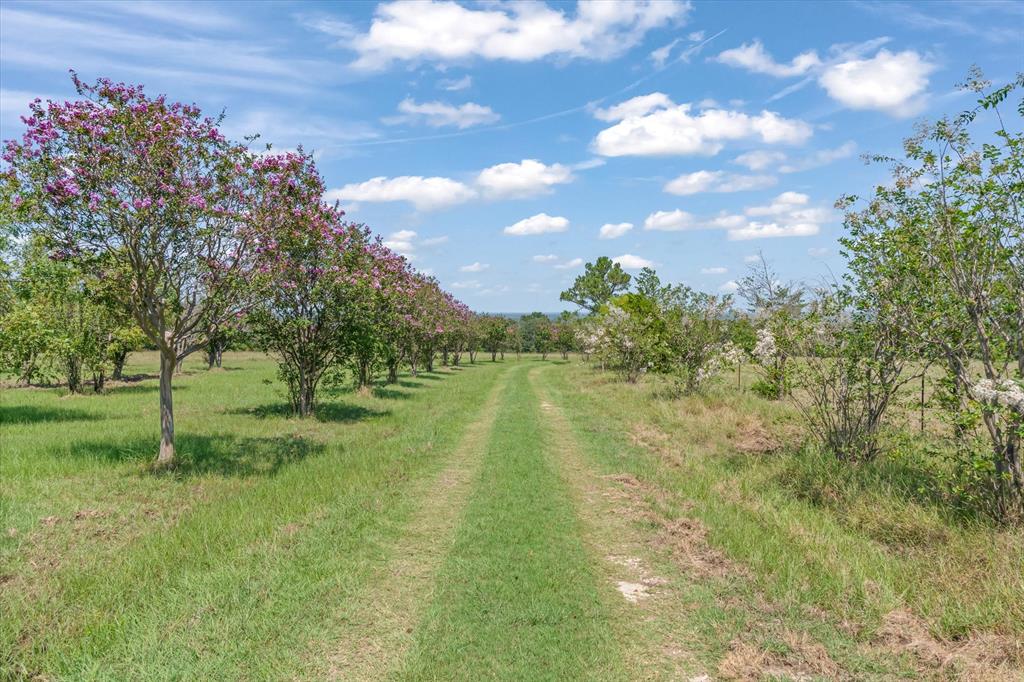 2503 Vz County Road 3804