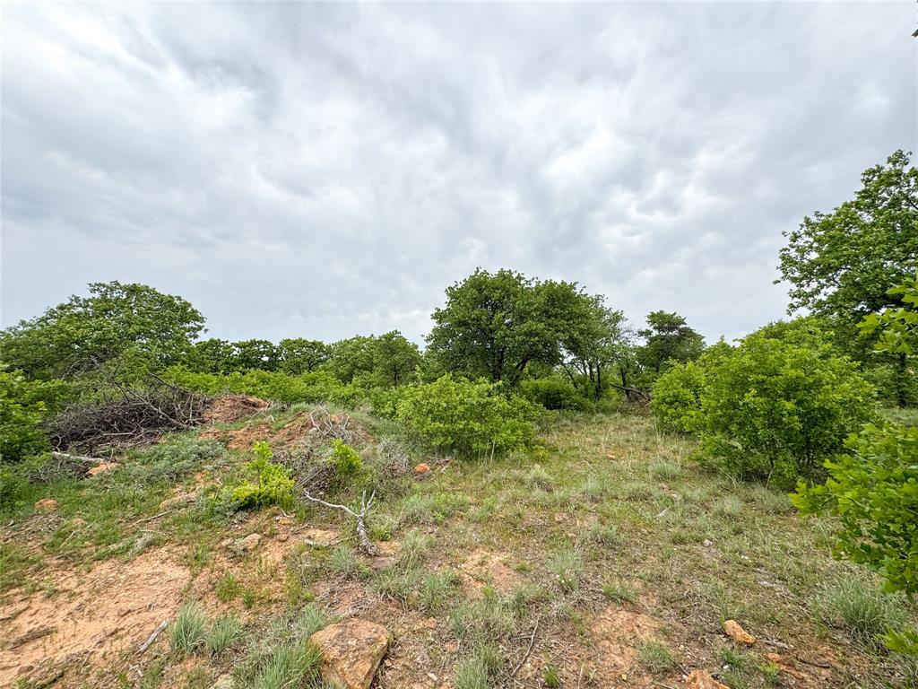 Hidden Shores - Land