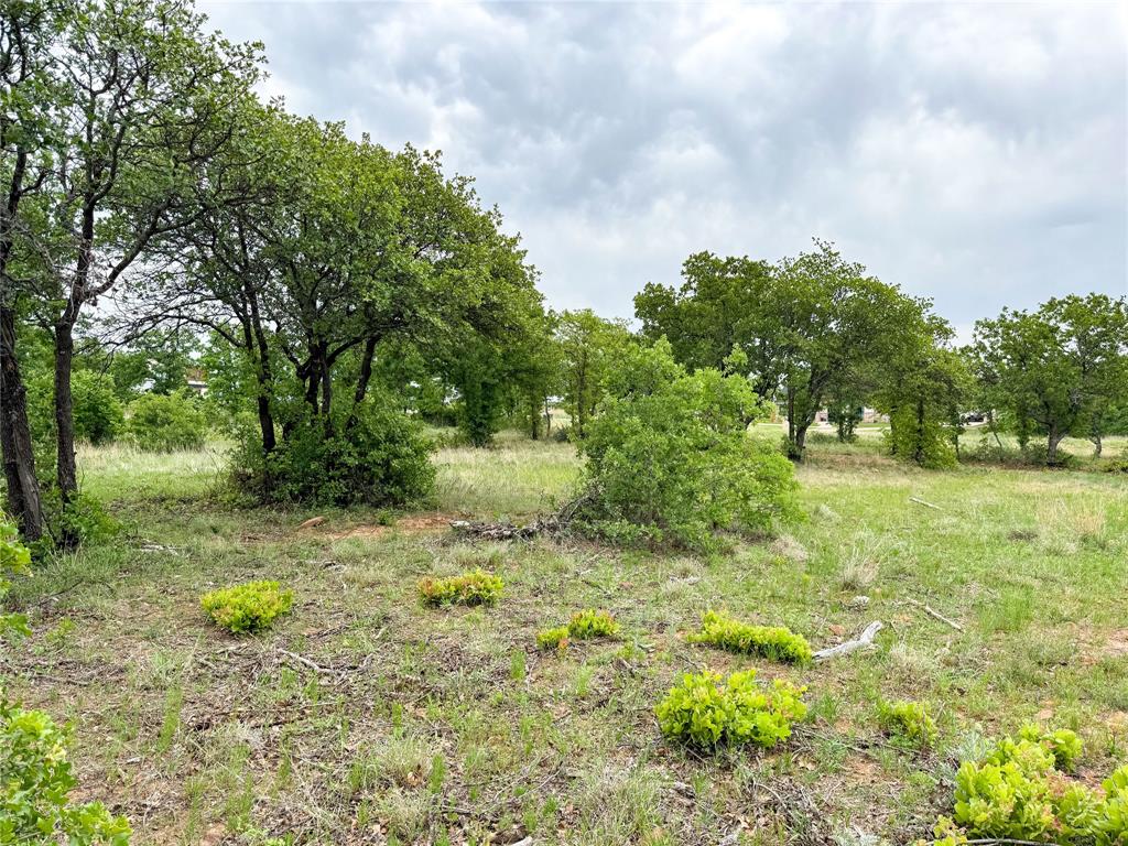 Hidden Shores - Land