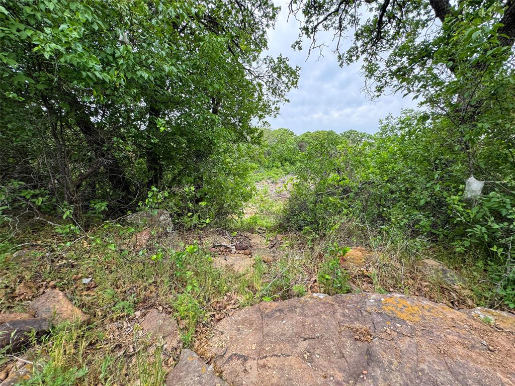 Hidden Shores - Land