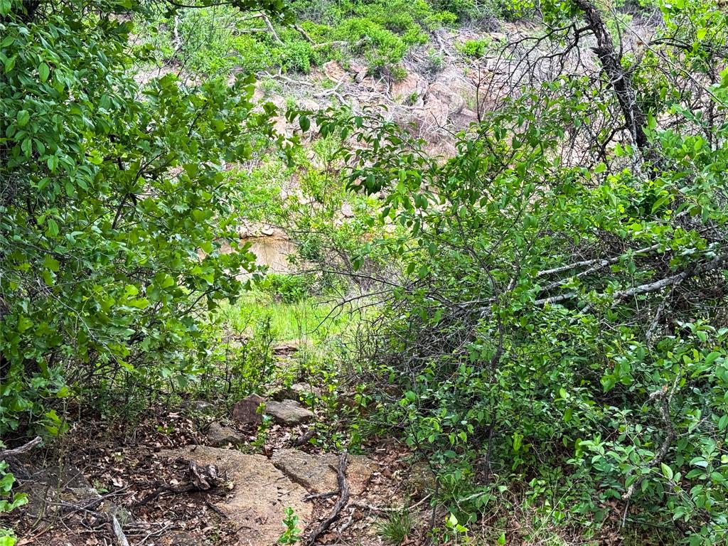 Hidden Shores - Land