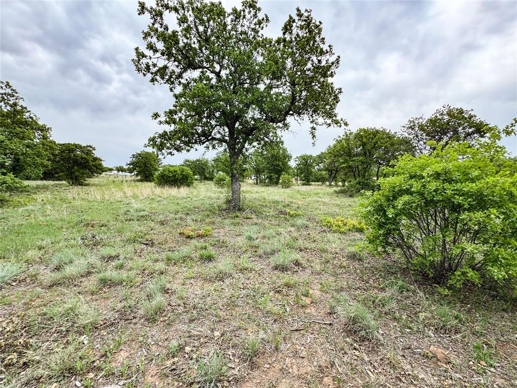 Hidden Shores - Land