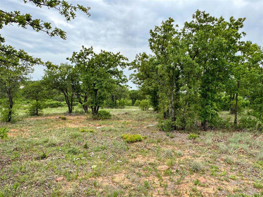 Hidden Shores - Land