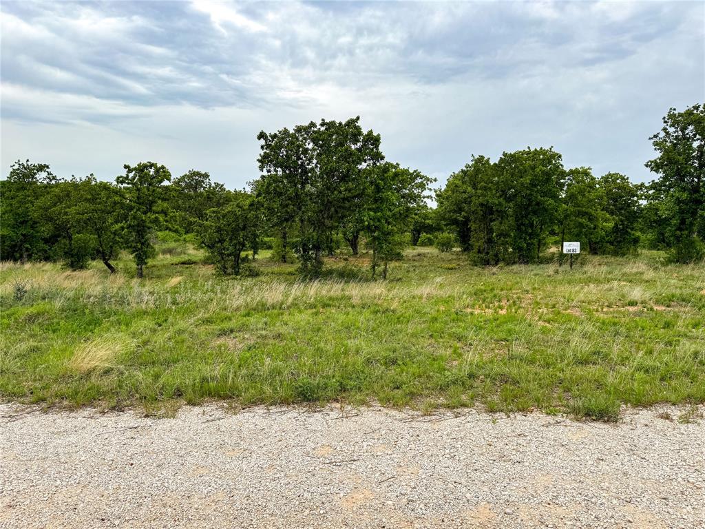 Hidden Shores - Land