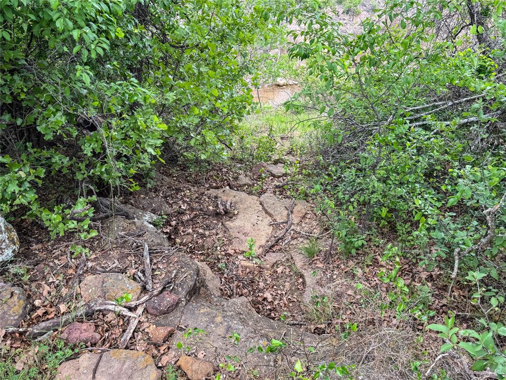 Hidden Shores - Land