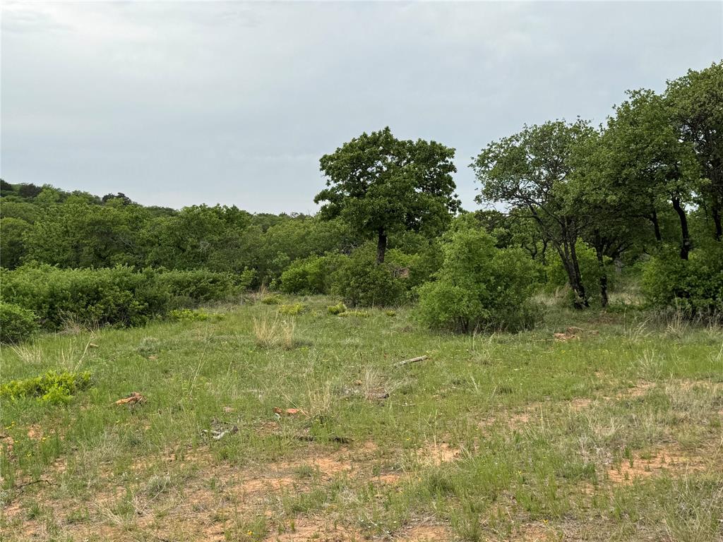 Hidden Shores - Land