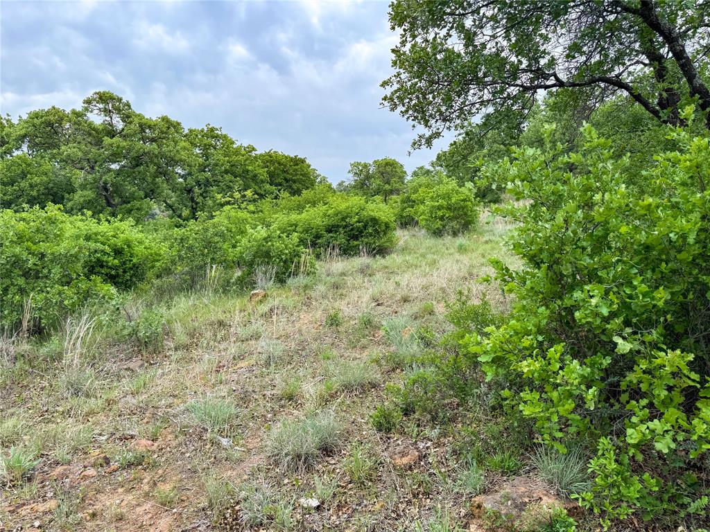 Hidden Shores - Land