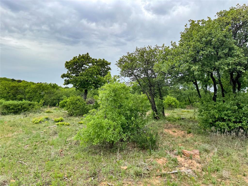 Hidden Shores - Land