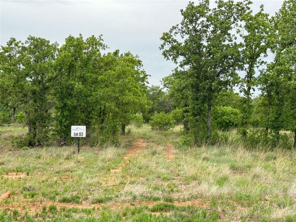 Hidden Shores - Land