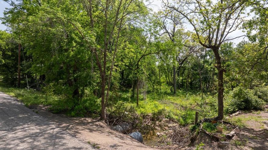 Exceptional value! Surveyed and ready for your vision, this mobile-home friendly lot has water and electricity available nearby for installation. Owner financing available, making land ownership more accessible. A great opportunity to build, place a home, or invest while enjoying nearby local amenities and conveniences. Short-term rentals are allowed in the area, adding excellent investment potential.