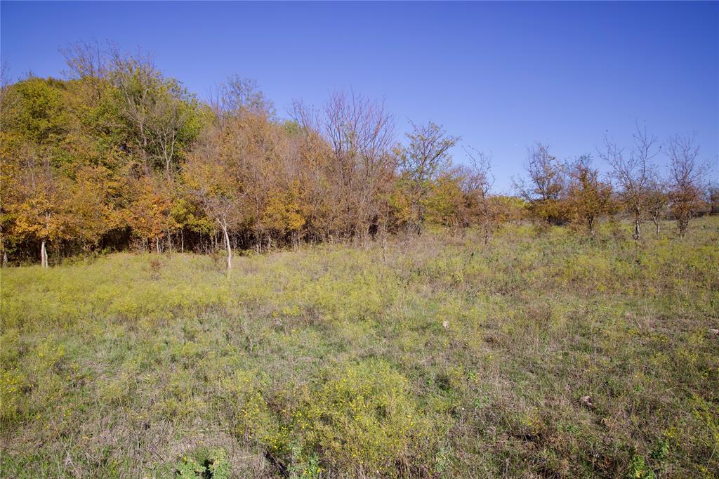 TBD 126+/- Acres CR-4421