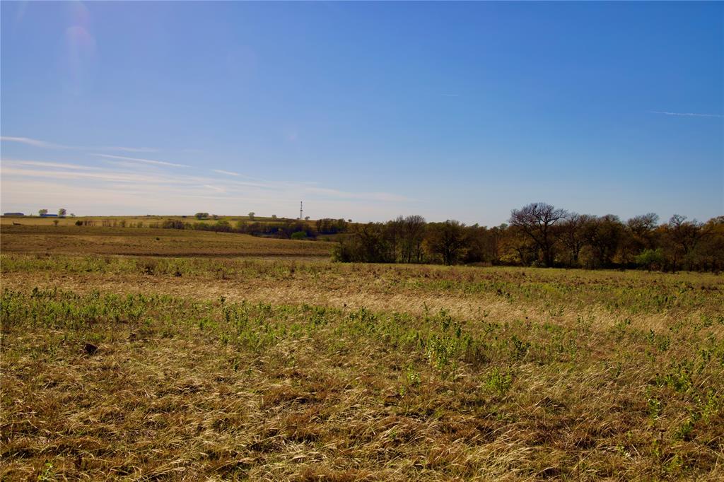 TBD 126+/- Acres CR-4421