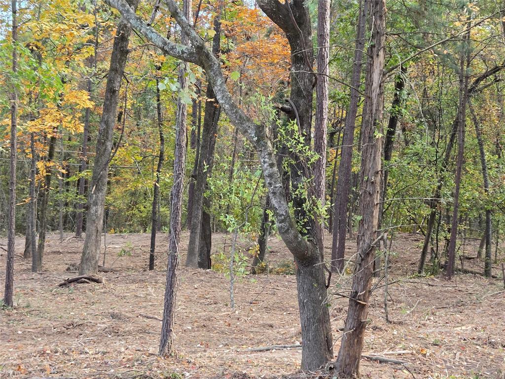 Timberline Subn - Land